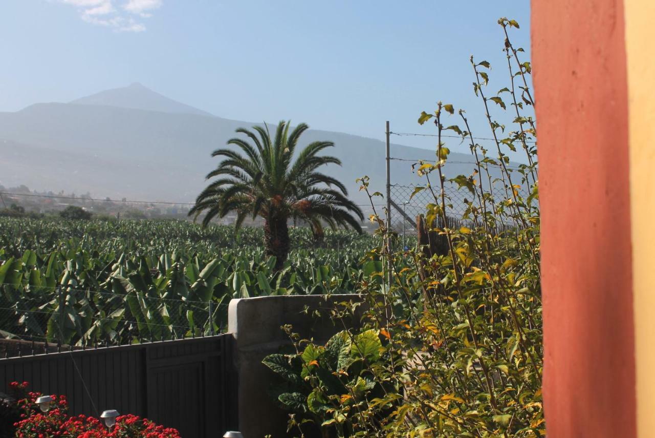 Finca La Plantacion _Agroturismo La Orotava Exterior photo
